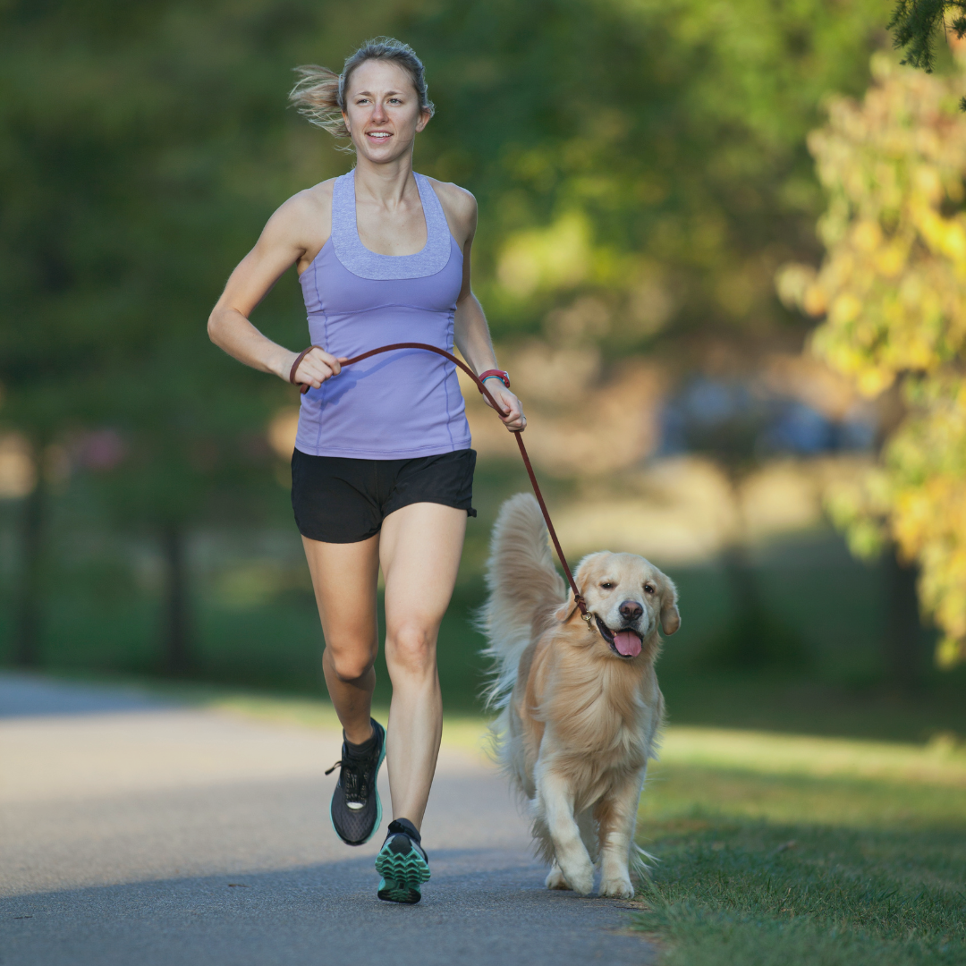 Running with a dog: 10 tips + the best and worst dog breeds to go running with &#8211; Run With Caroline